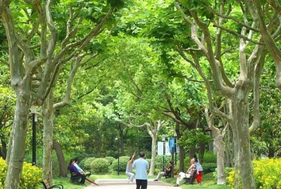 夏日绿意与清凉：小布摄影团的自然治愈之旅