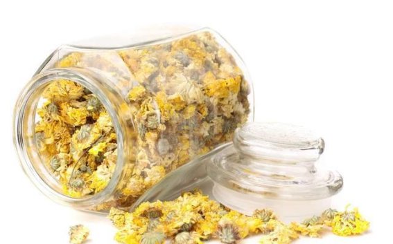秋季养生新宠：菊花茶的清热良方