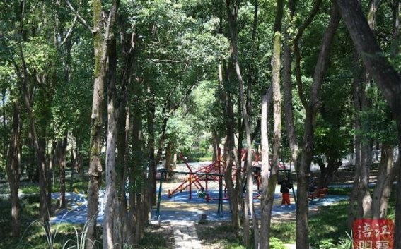 绵阳公园城市”如何打造？建议这样卷”起来→