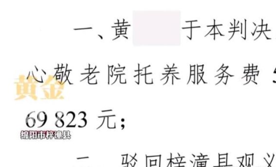 五保户的秘密：车祸赔偿引发的亲子之争与法律审理