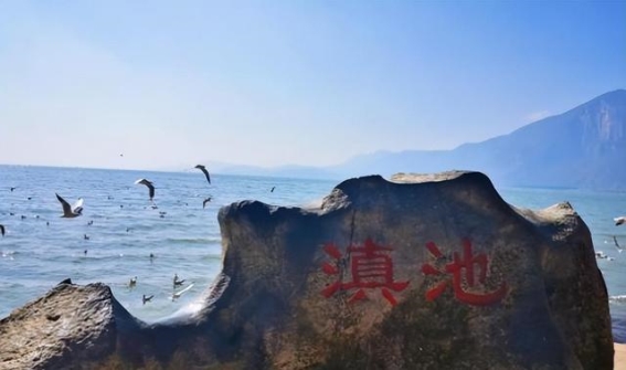 中国环保奇迹：滇池治理之路