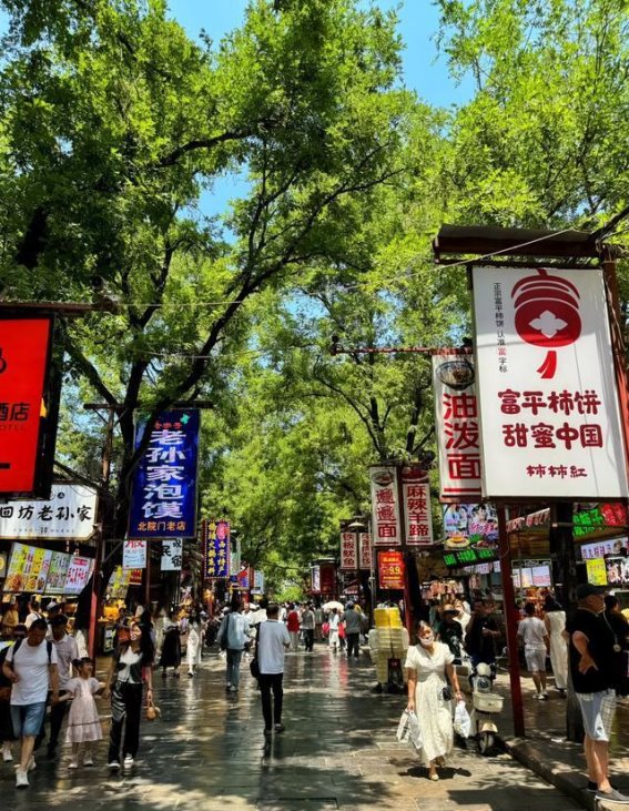 带老人游西安：秋日温情之旅的全攻略