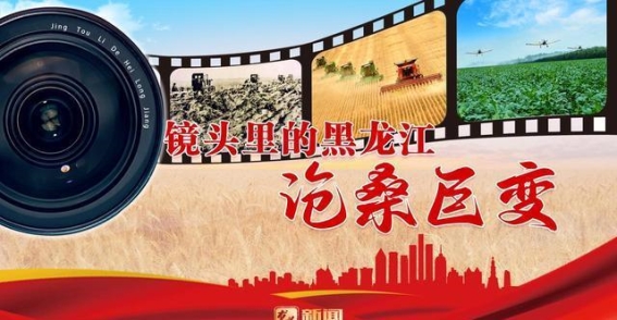 加格达奇的华丽蜕变：从林海小城到现代化“林海明珠”