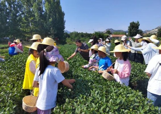龙口中秋节盛况：从传统庆典到现代体验的一站式攻略