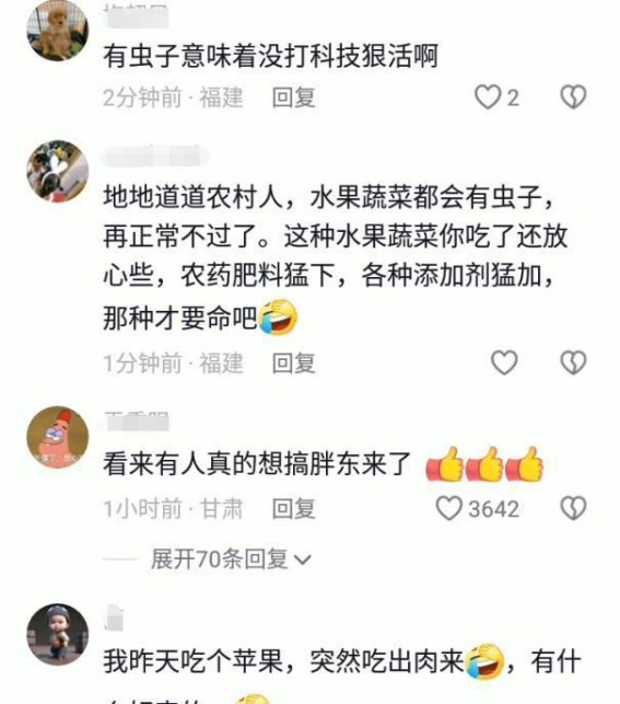 石榴中蛆虫事件引发关注，胖东来超市回应引发网友热议