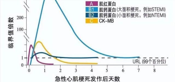 心脏健康的重要性：从一位73岁老人的故事谈起
