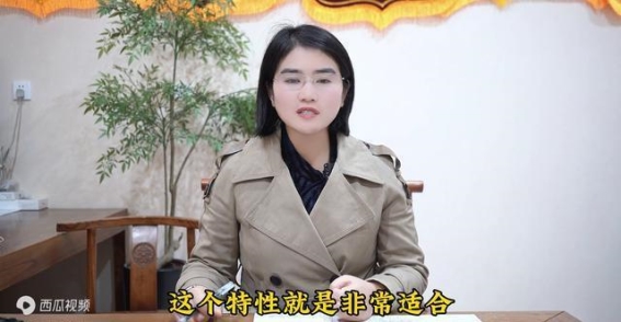 当归与熟地黄：补血之道，动静之间