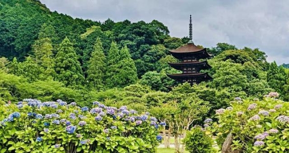 探索日本西之京都——山口市的历史与美景