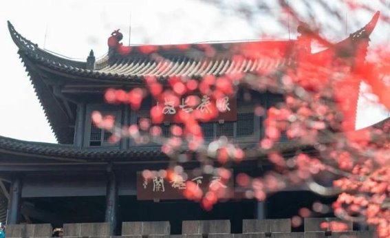 在剑阁的诗意时光：中秋之旅的深刻体验