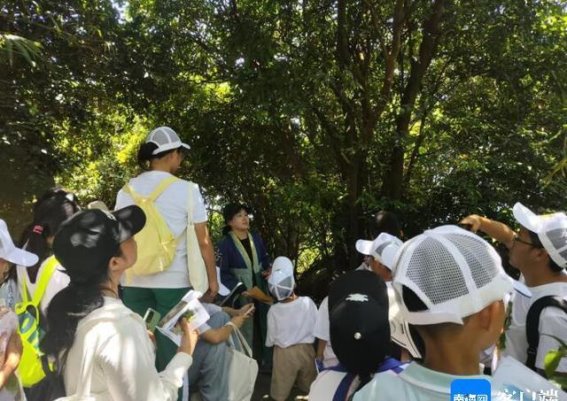 铜鼓岭研学之旅：在树中聆听自然的声音