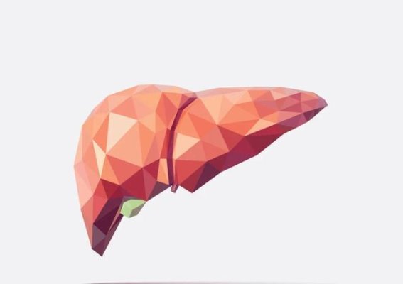 筑宾穴：天然解毒的秘密武器