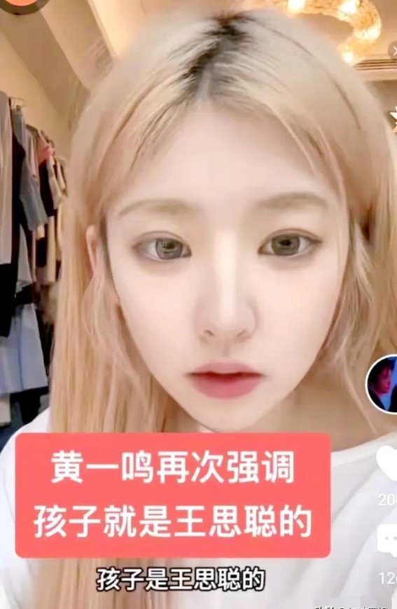 提纲：引言