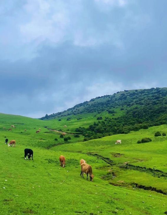 鸟吊山的隐秘风光：大理的自然秘境