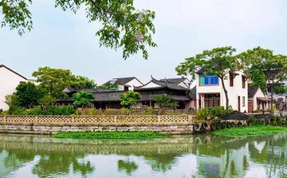 台州椒江：水乡风景美游人享清凉