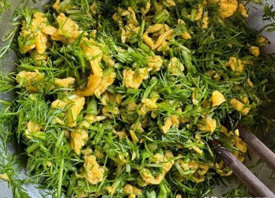 入伏吃饺子，韭菜鸡蛋靠边站，多吃2种解暑馅”，正当季记得吃