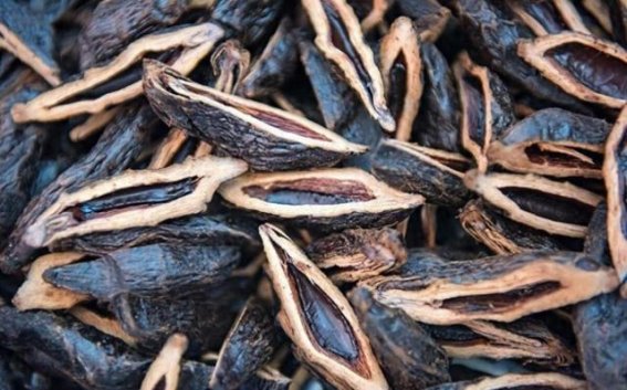 为何槟榔要吃软一点？浅析软硬度对口腔健康的影响