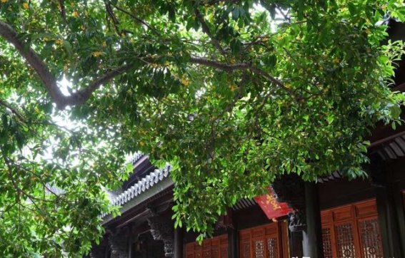 探索宁波三日游：历史与美食的交融之旅