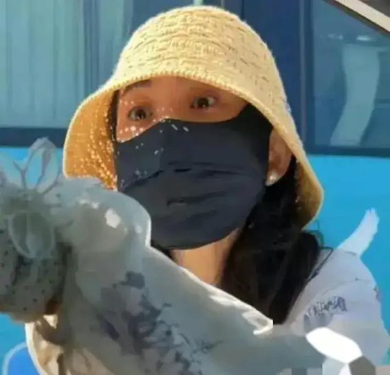 青岛路虎女事件：从逆行罚款到社会风气的深刻探讨