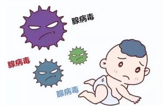 孩子游泳后反复高烧，警惕腺病毒的侵袭