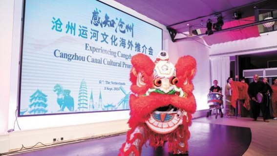 运河文化纽带：中荷交流的新篇章