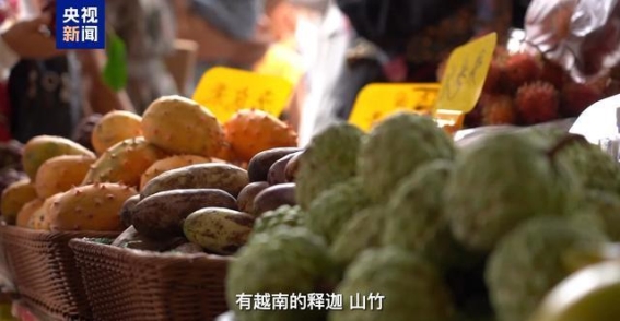 探索东兴：中越边境的购物与文化盛宴