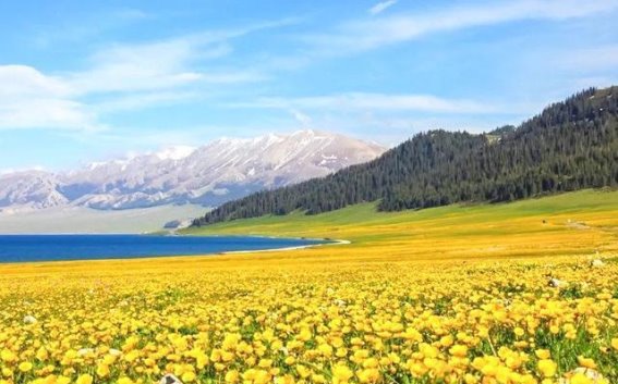 新疆自驾探秘：山川湖海与西域大漠的交织