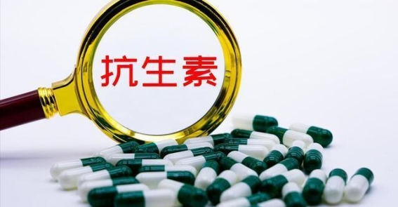 阿奇霉素三天停四天的真相：头孢与阿奇霉素的区别解析