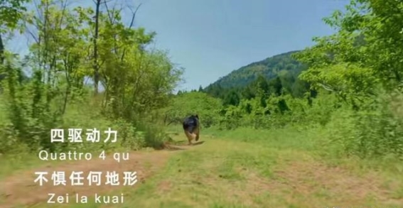 中国警犬宣传片：用“散装英文”笑果满满走红网络
