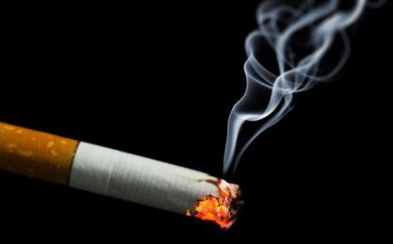 尼古丁的反转：科学探索中的长寿谜题