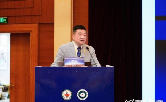 应对老龄化挑战：骨科领域的科技进步与未来展望