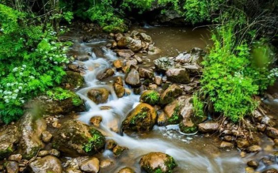 定西的秋日中秋：探秘山林秘境与文化珍宝