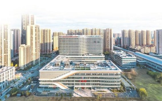 关于新城中小学的通知