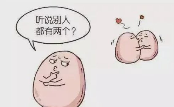 隐睾探秘：小男孩“蛋蛋失踪”的背后真相
