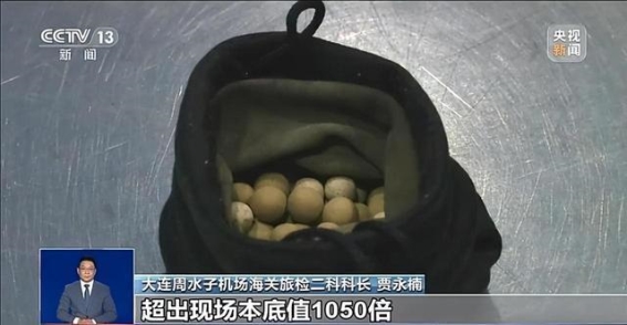 警惕！辐射超标的“保健石”与致命的“鸡母珠”