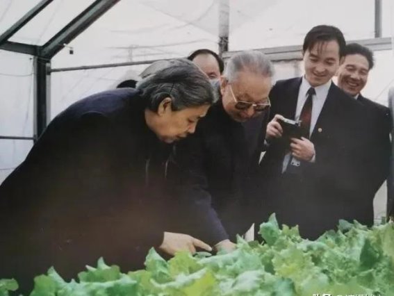 华主席在广东的四次视察：珍贵历史瞬间的回顾