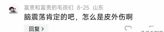 暴力事件引发广泛关官方通报与背后真相揭秘