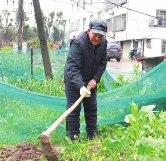 长寿老人徐大爷的四个生活智慧：轻松迈过九十岁