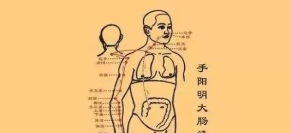 十二经络疗法全解：从基础到进阶的详细指南
