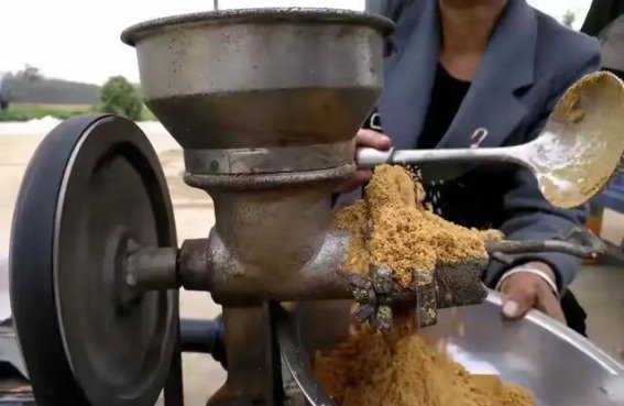 打击非法榨油：保障食品安全的综合措施