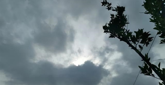 私有制与公有制的未来：百年共运的启示