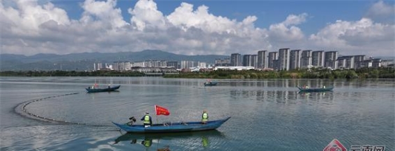 守护滇池：湖滨生态湿地的重生与美丽