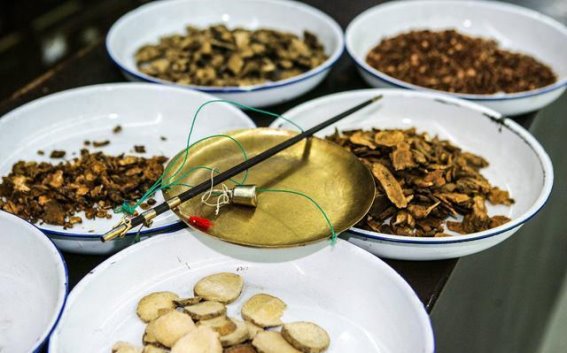 自然之力：海藻与昆布的神奇疗效