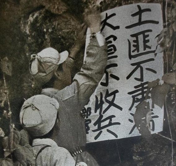尼姑庵中的匪首：解放军剿匪行动中的秘密发现