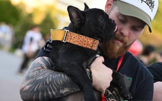 索契法国斗牛犬游行：呼唤宠物责任与关爱