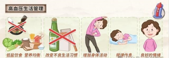 如何科学管理轻度高血压：从饮食到生活方式的全面调控