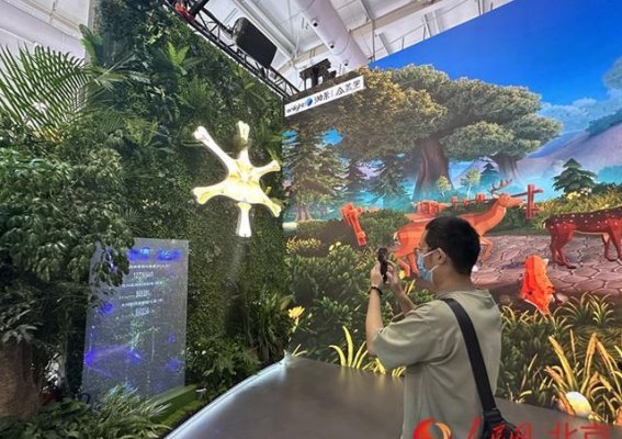 大兴区的未来展望——穿越森林，探秘机场的生态之旅