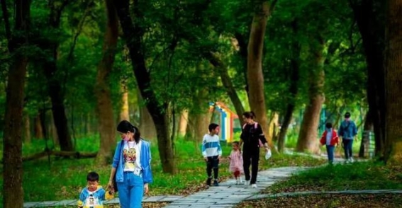 庐陵中秋盛典：金秋月色下的购物与美食奇遇