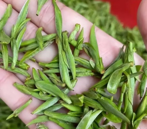 红茶与绿茶的健康较量：北大研究揭秘饮茶真相