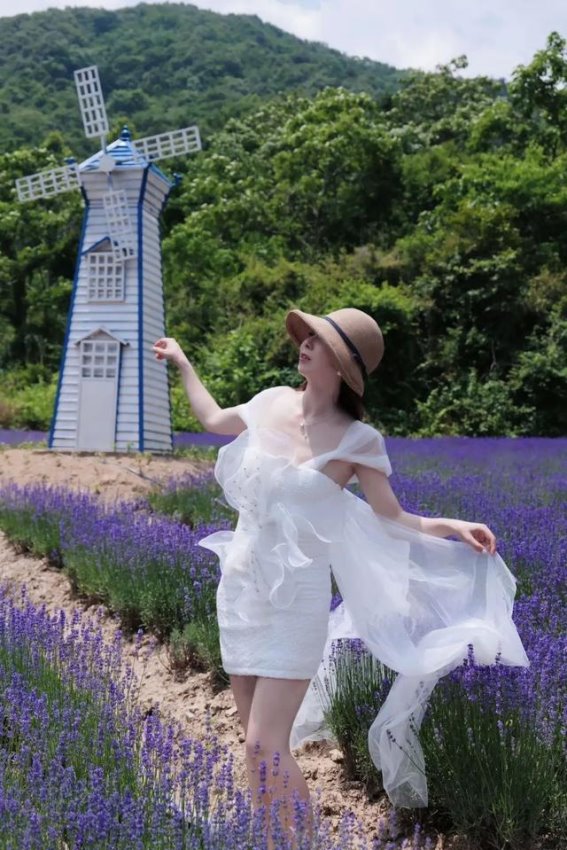 《花田之美：探索黄陂木兰天池薰衣草花田的绚丽魅力》