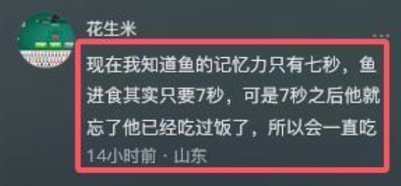 当爱心变成悲剧：观赏鱼的国庆噩梦